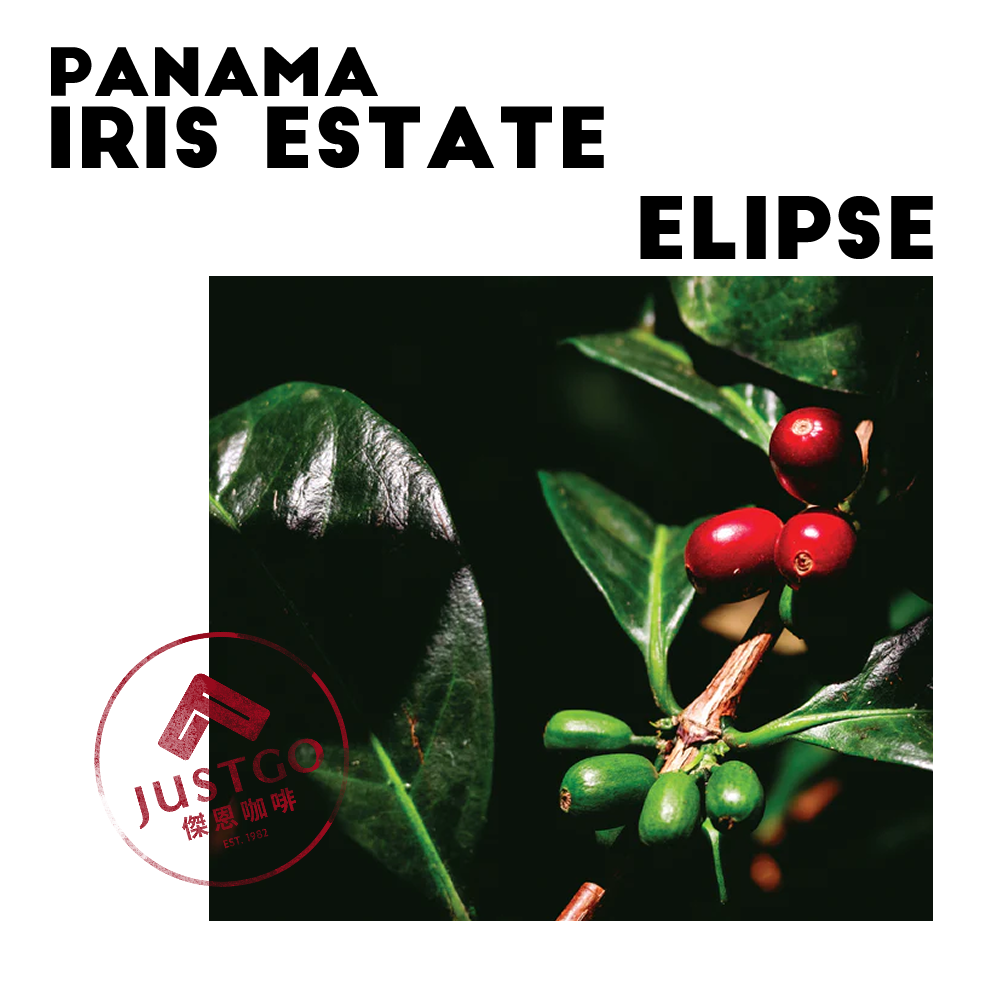[生豆] 巴拿馬 Iris Estate Elipse（橢圓）GESHA 氮氣浸漬厭氧水洗