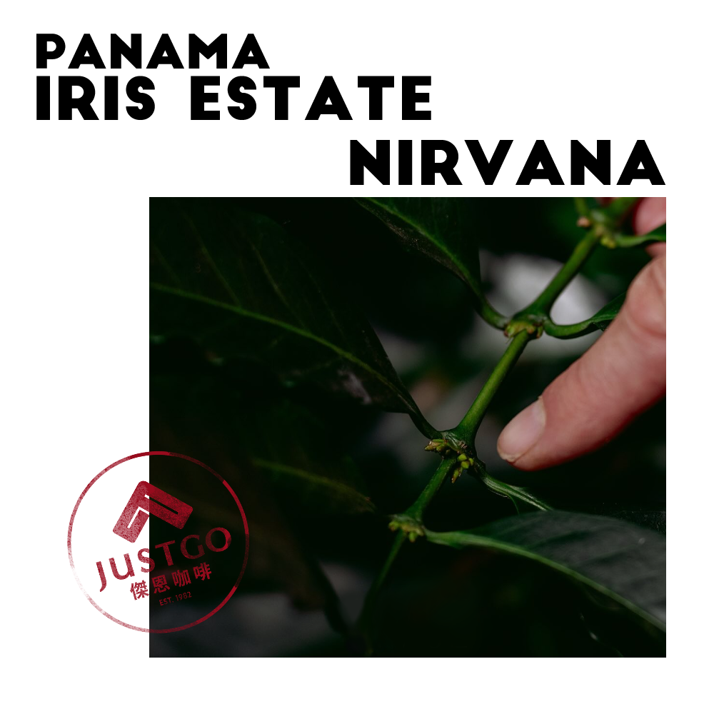 [生豆] 巴拿馬 Iris Estate Nirvana（涅槃）GESHA 氮氣厭氧日曬