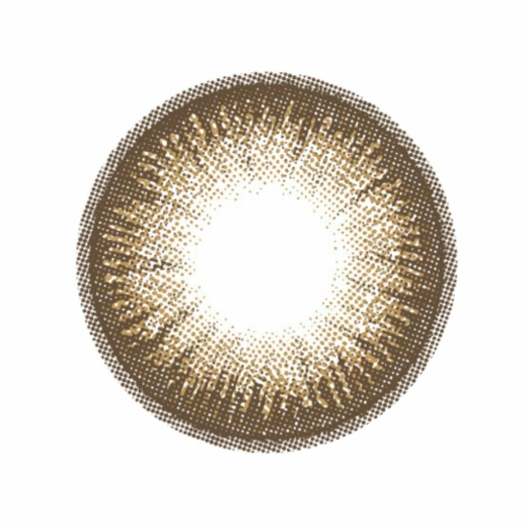 Flanmy - Dark Mocha - 1Day - 10Pieces