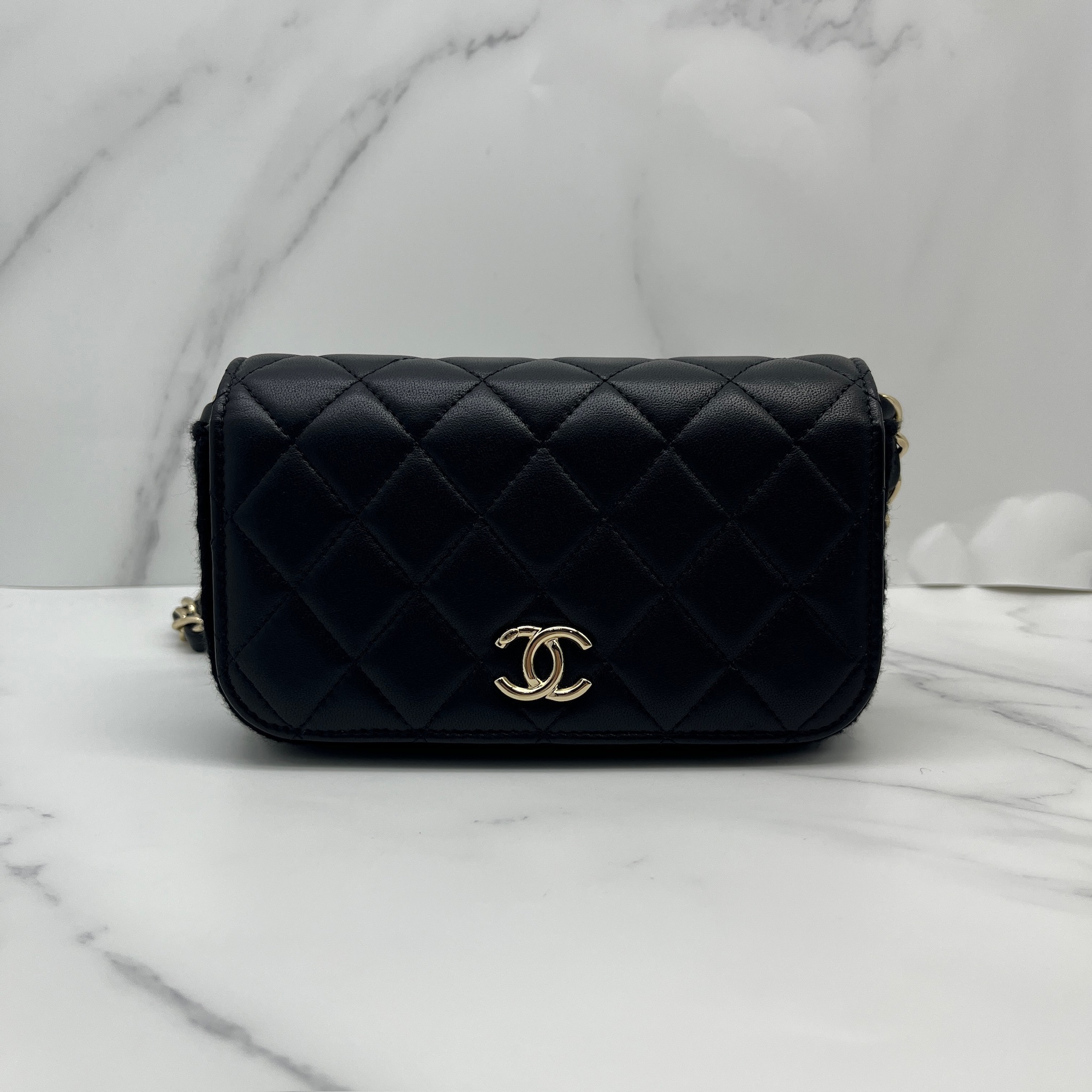 Chanel Woc Flap (special version)