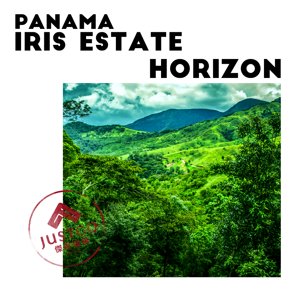 [生豆] 巴拿馬 Iris Estate Horizon（地平）GESHA 酵素日曬+水洗