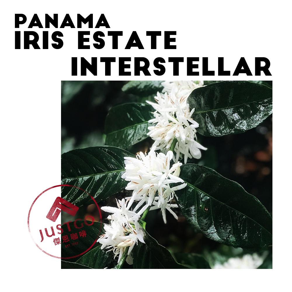 [生豆] 巴拿馬 Iris Estate Interstellar（星空）GESHA 酵素日曬