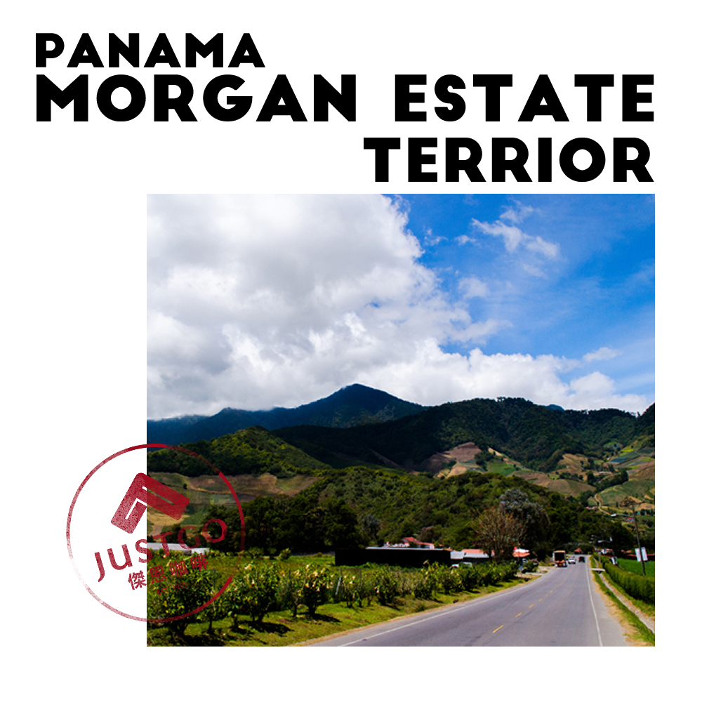 [生豆] 巴拿馬 Morgan Estate Terrior（風土）GESHA 水洗