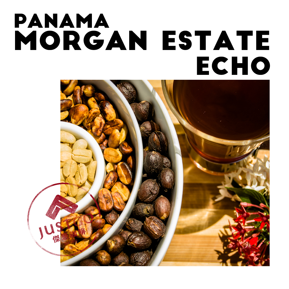 [生豆] 巴拿馬 Morgan Estate Echo（迴音）GESHA 二氧化碳浸漬 帶果皮水洗