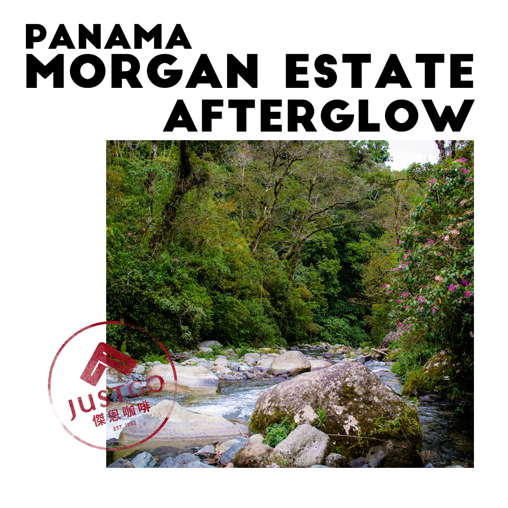 [生豆] 巴拿馬 Morgan Estate Afterglow（日暮）GESHA 二氧化碳浸漬水洗
