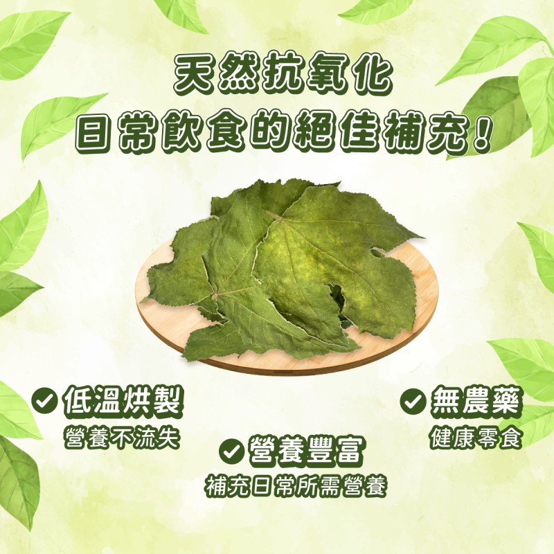 [無添加] 愛米可緹構樹葉 - 10g