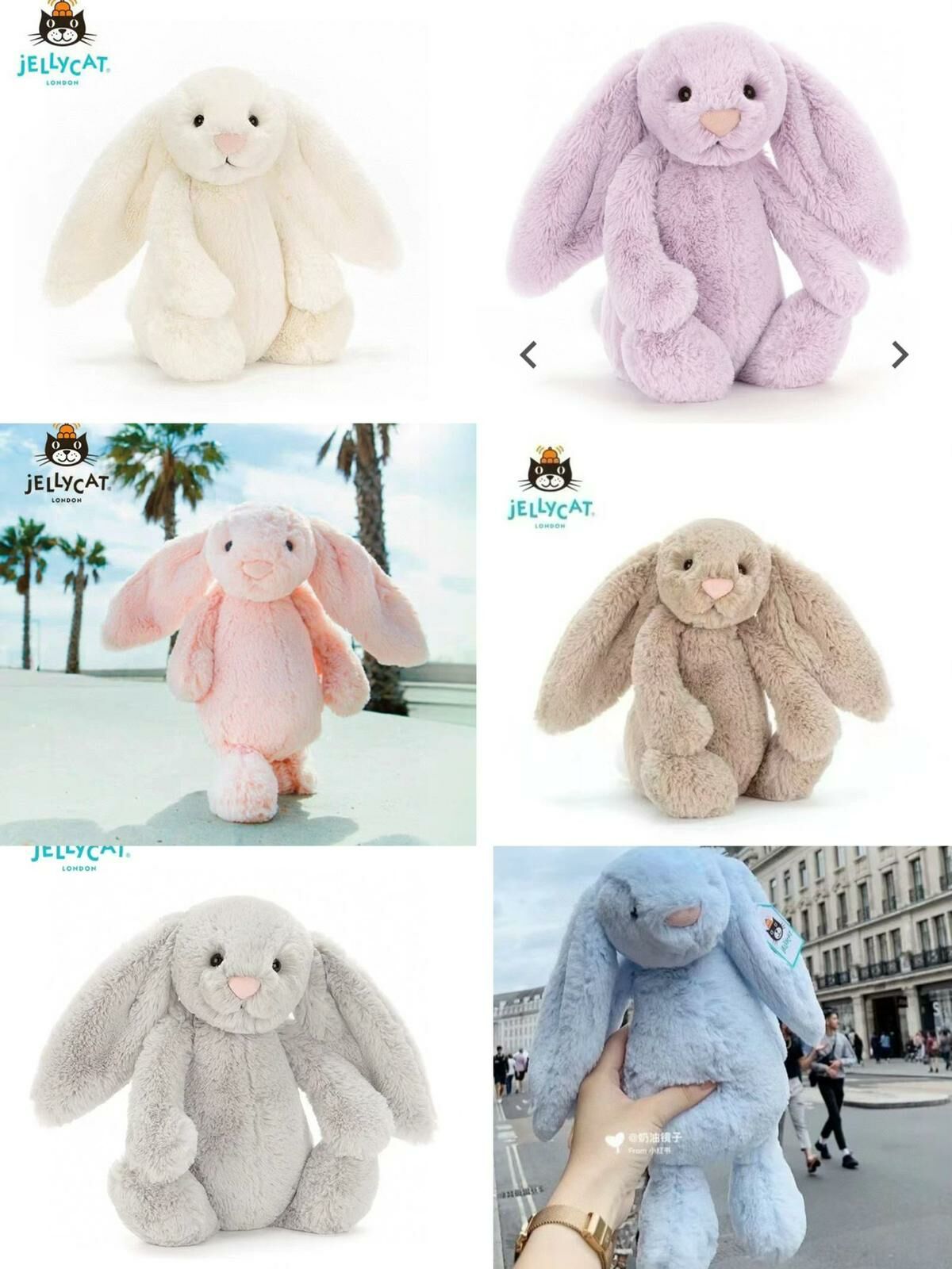 Jelly cat 36cm bunny🐰