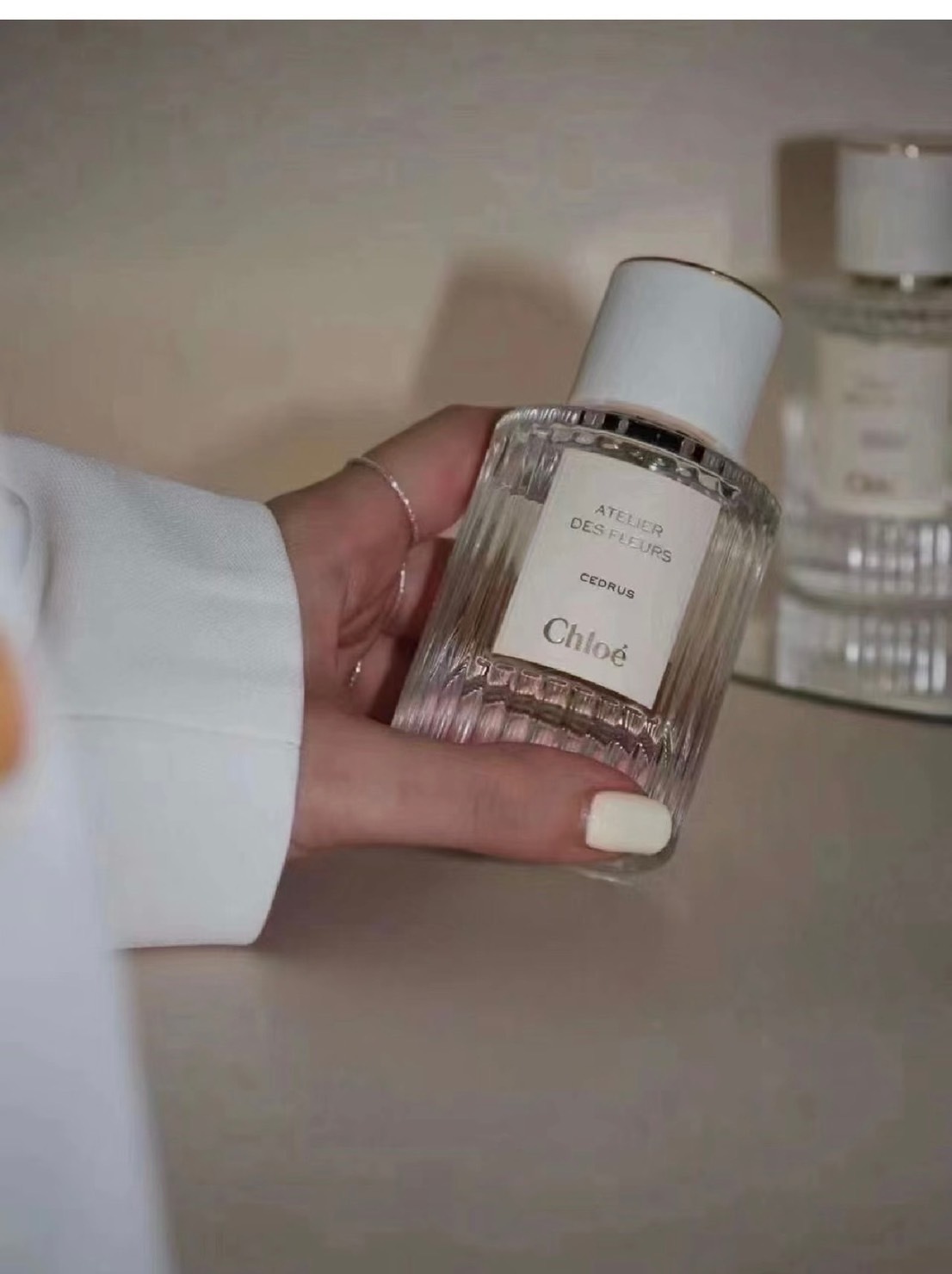 （現貨）Chloe 仙境花園系列 北國雪松淡香精 50ml