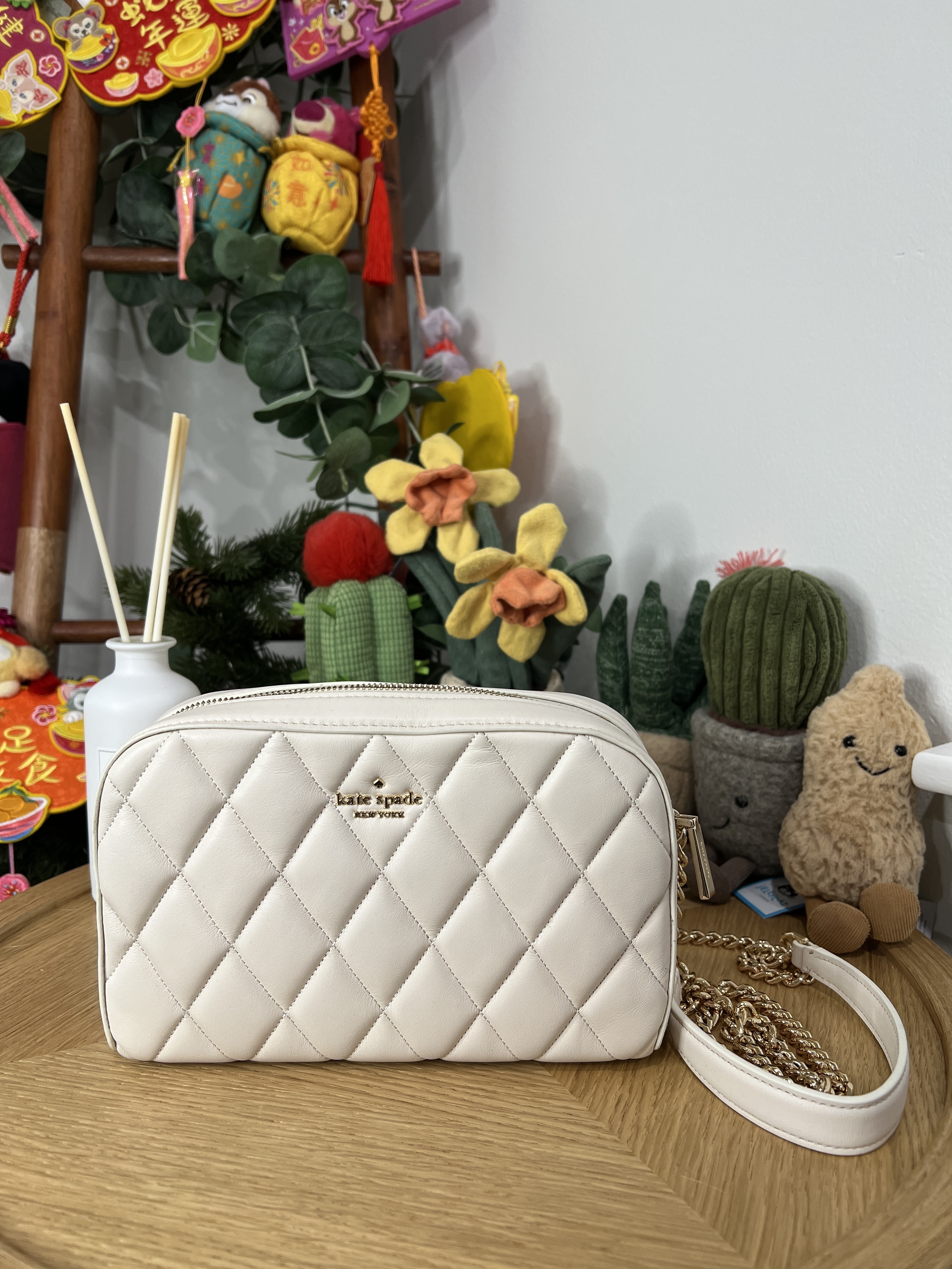 Kate spade camera bag