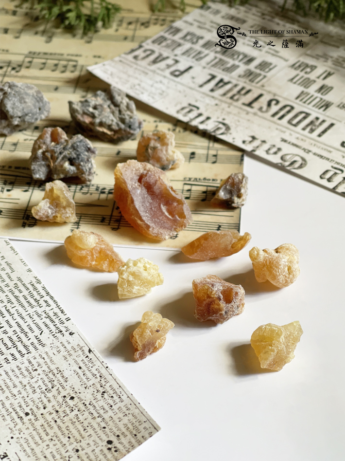 樹脂種類最齊全木之精華 秘魯沒藥 樹脂淨化 脈輪 薰香 南美 印加文化儀式 琥珀 阿茲提克 瑪雅 - 光之薩滿