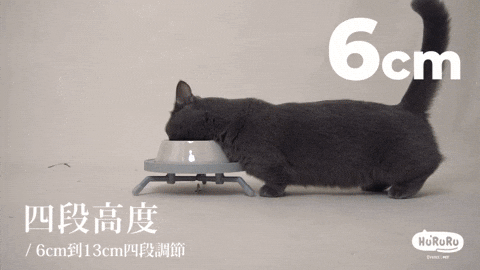 Koka! 可調式架高防蟻架｜高度x斜度調整