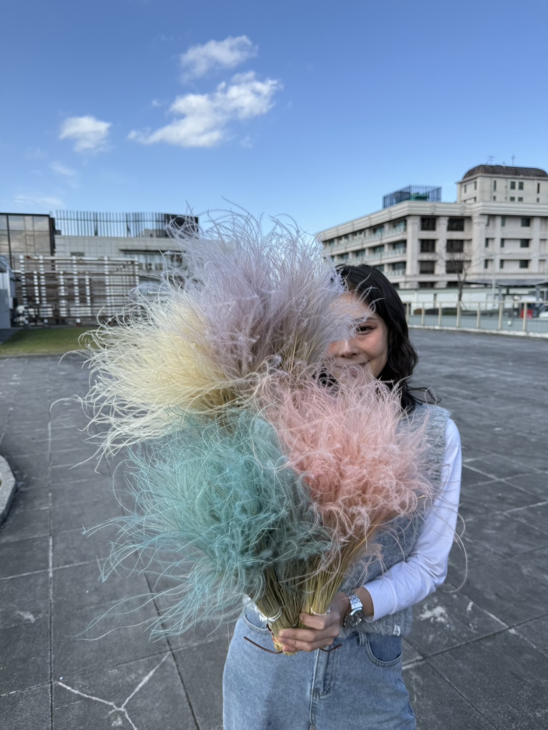 乾燥羽毛草(義大利)