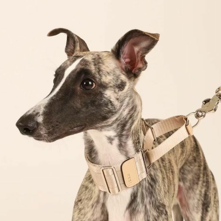 wide martingale collar