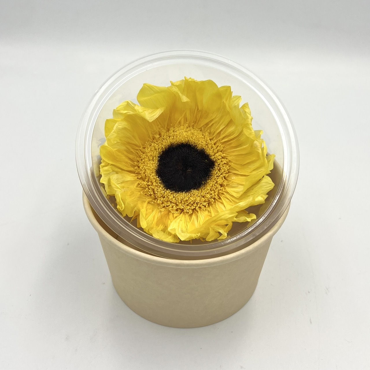 不凋向日葵(單朵)