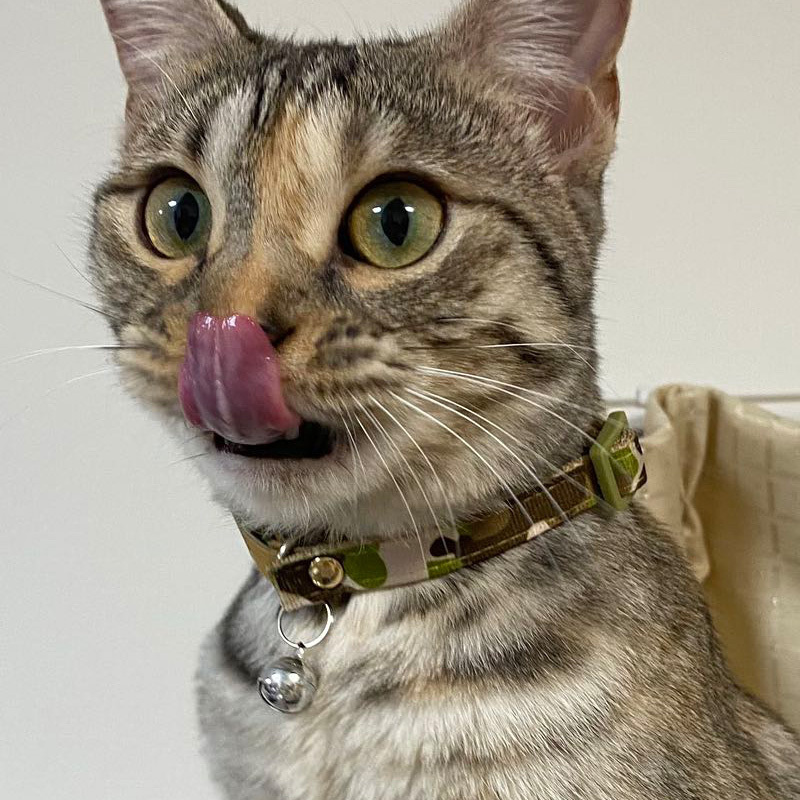 貓用項圈/迷彩