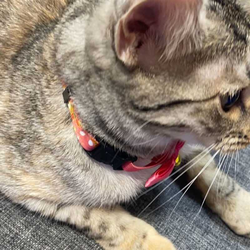 貓用項圈/和風花卉