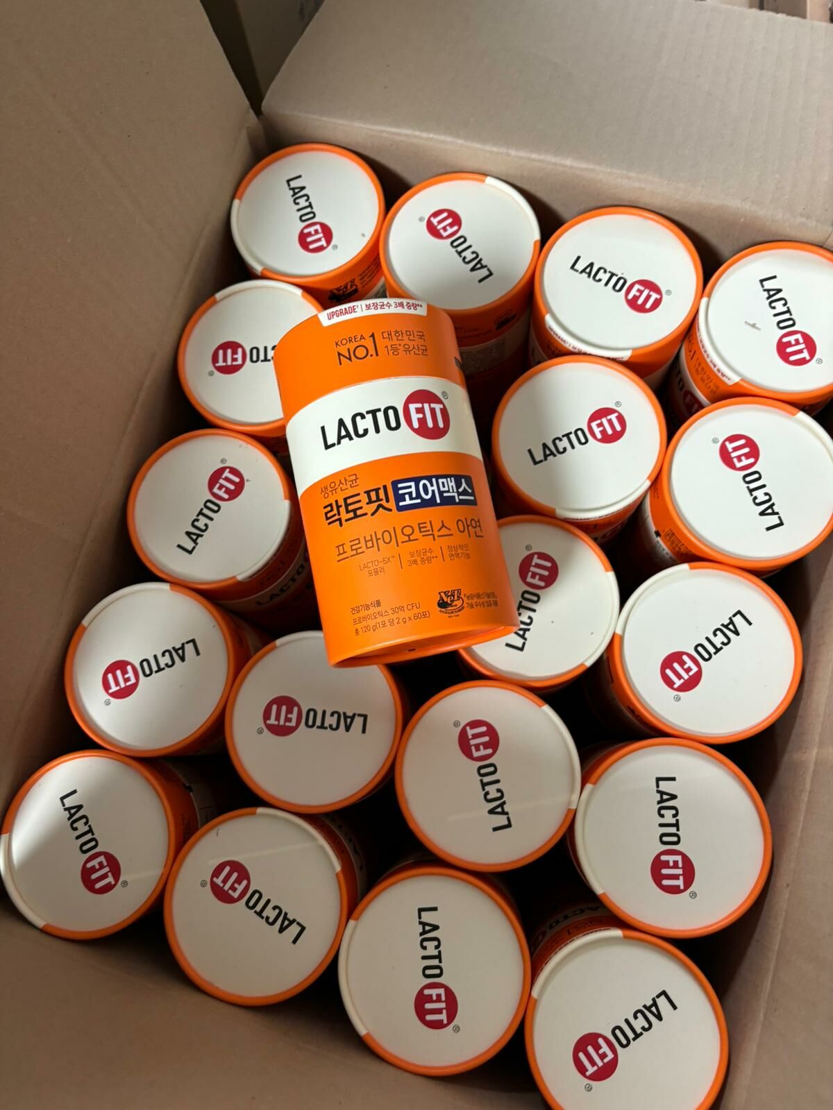 LACTO-FIT 橙色增強版