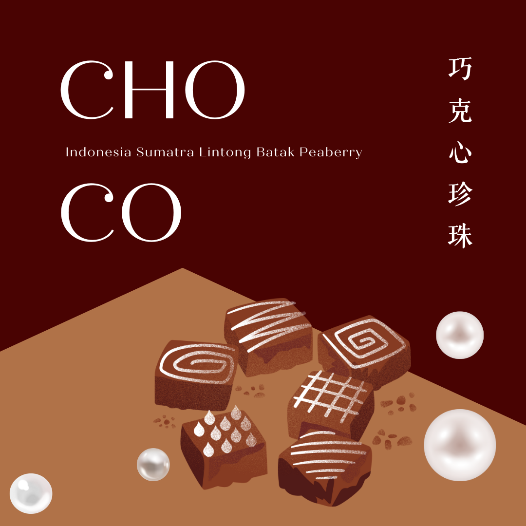 印尼 蘇門答臘 巧克心珍珠