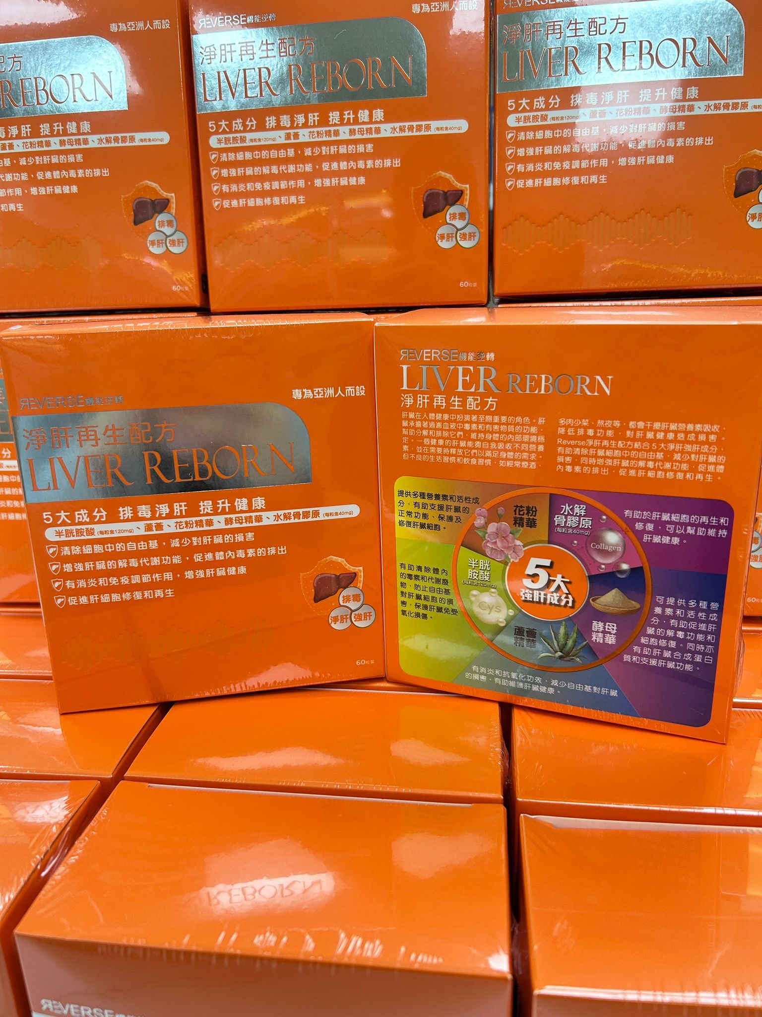 蟲草大王Reverse淨肝再生配方