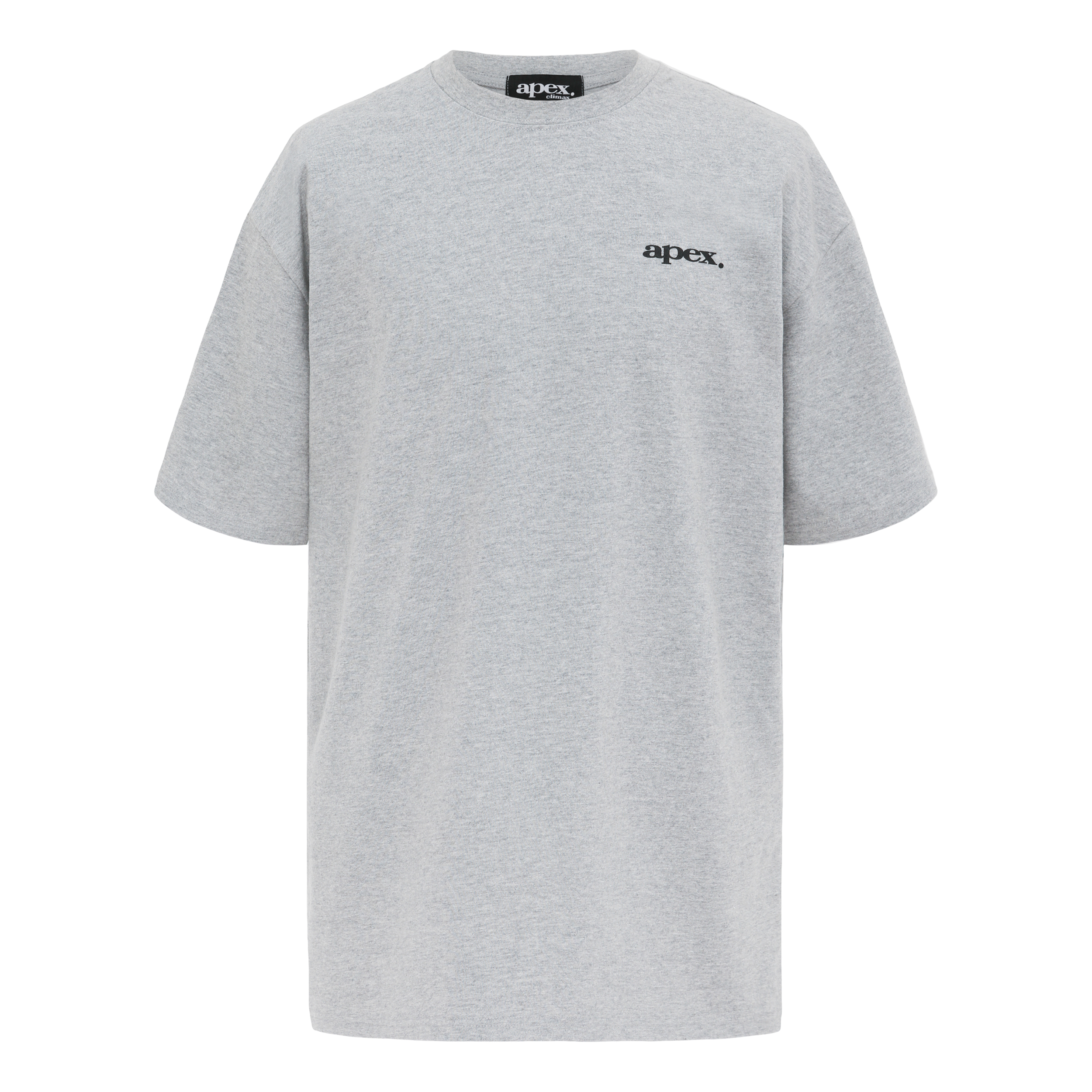 APEX BOLD CIRCULAR OVERSIZE T-SHIRT / GRAY