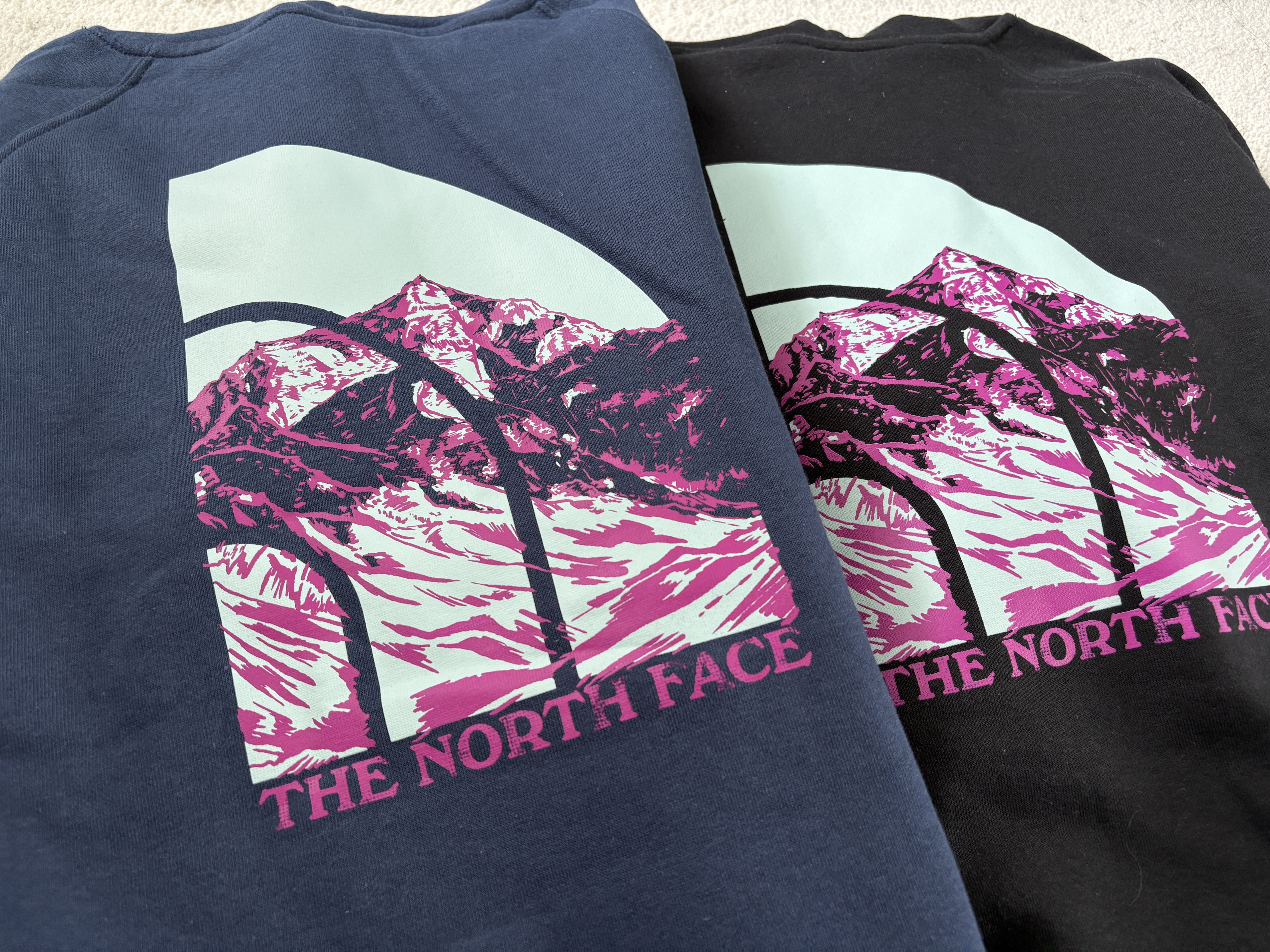 THE NORTH FACE 女大人 背面山脈 刷毛 帽TEE (2色) (前小後大)