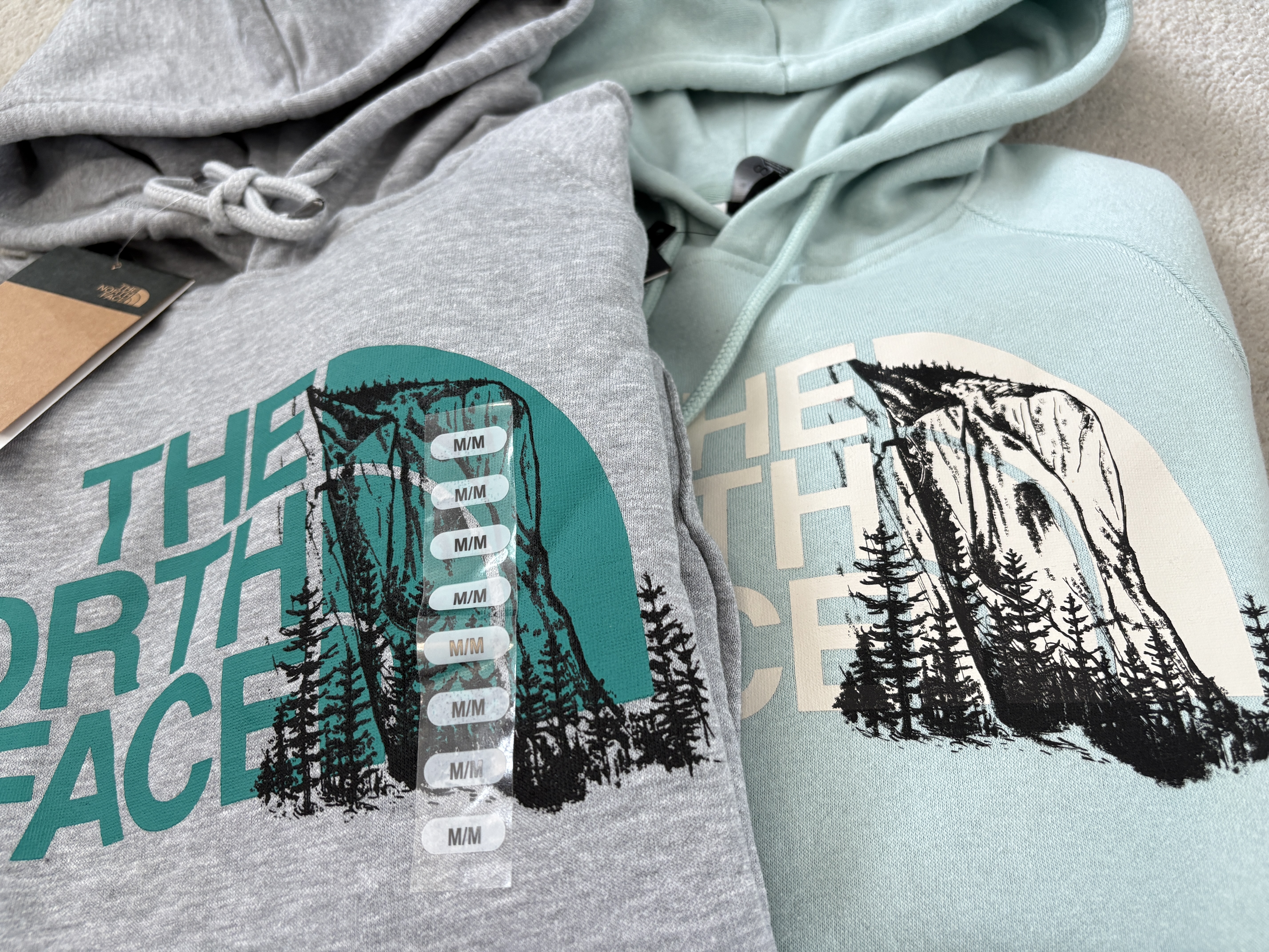 THE NORTH FACE 女大人 造型山脈圖案 刷毛 帽TEE (2色)