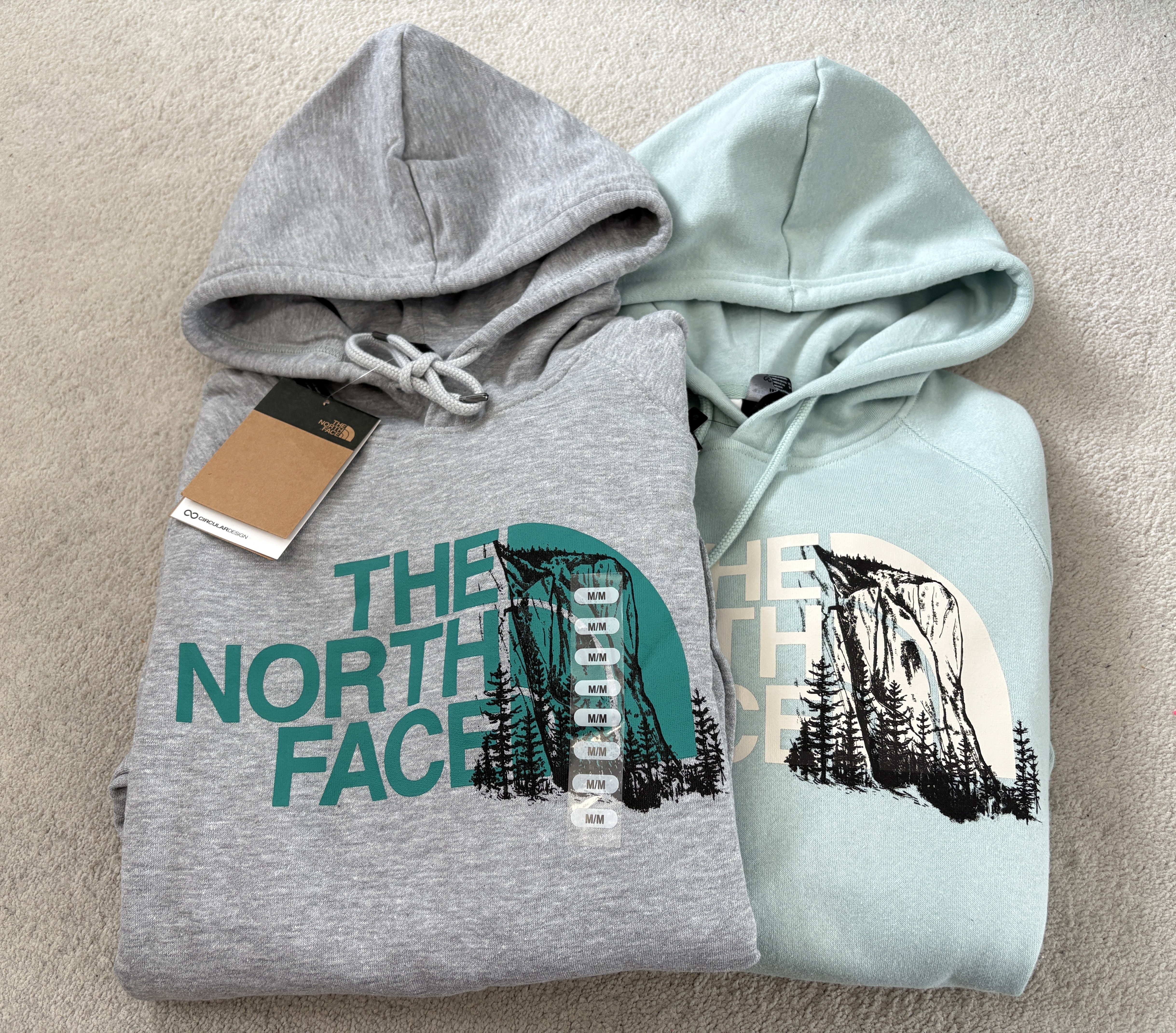 THE NORTH FACE 女大人 造型山脈圖案 刷毛 帽TEE (2色)