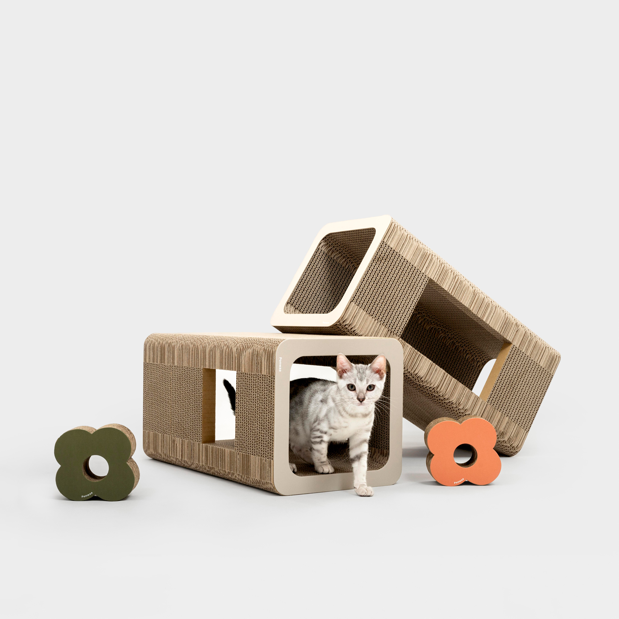 Ponwaa｜方洞隧道