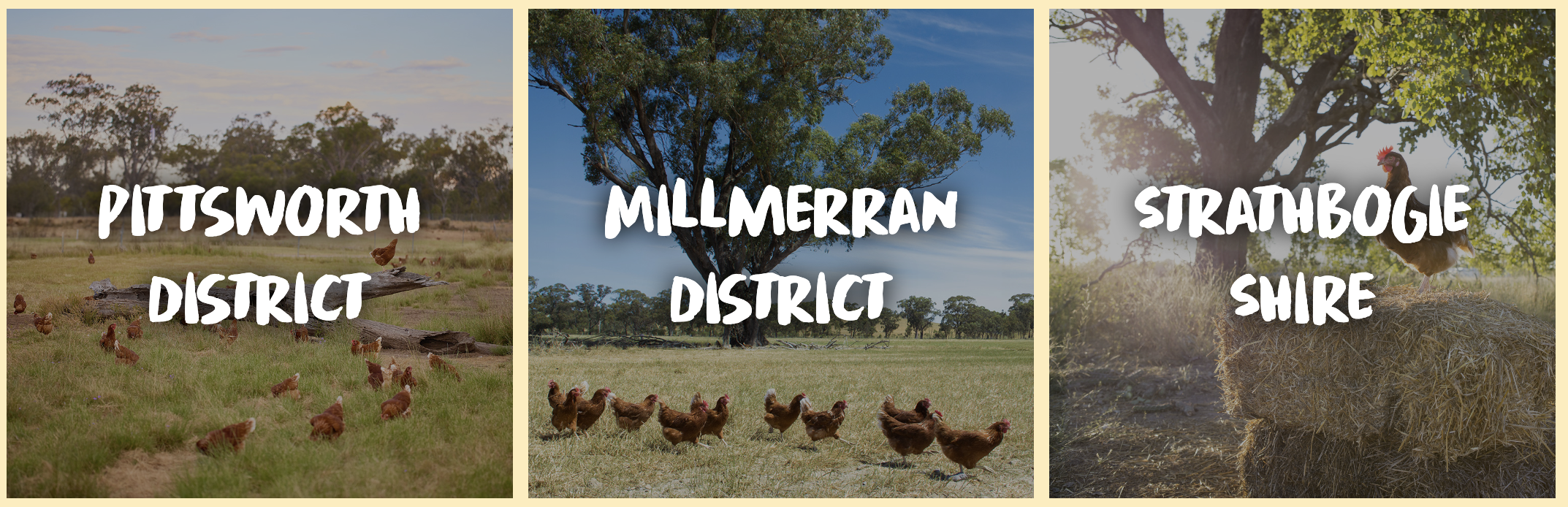 Eggs-plore some of our farms