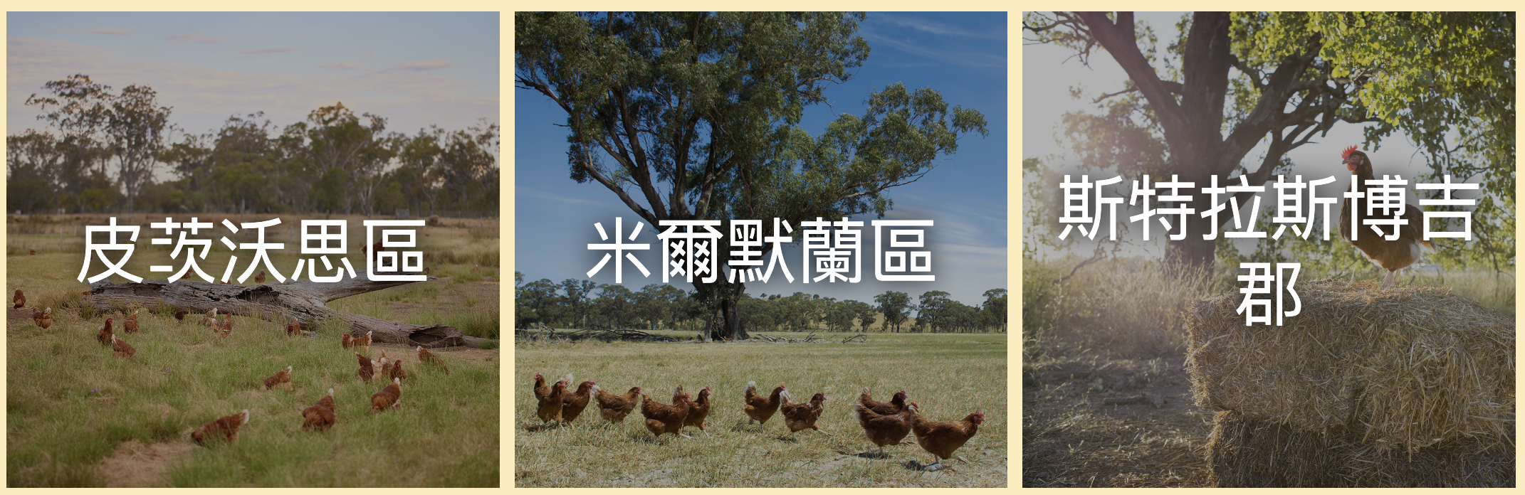 Eggs-plore some of our farms