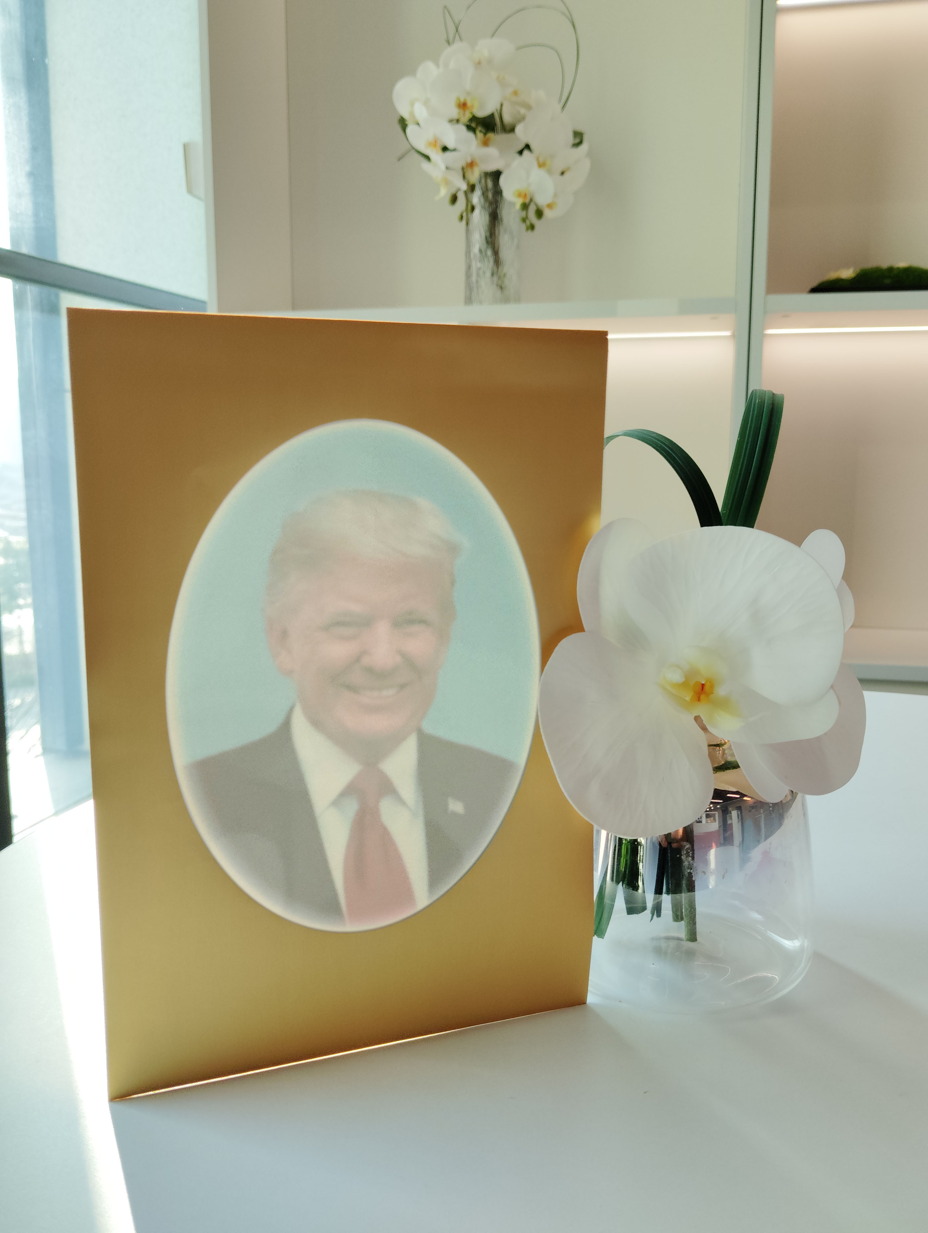 第47任美國總統特朗普肖像彩色浮水印鈔劵