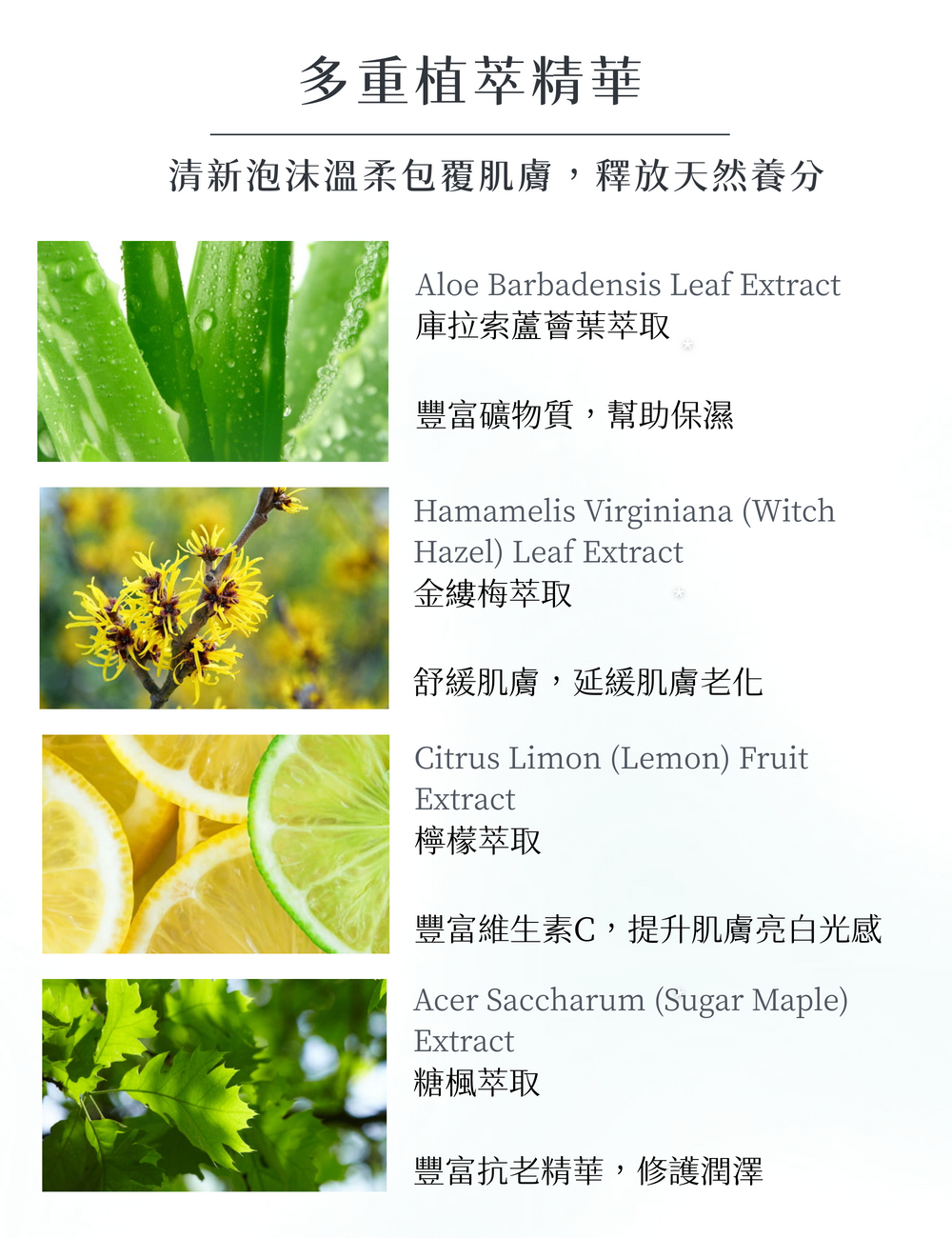 Moonlight 莯光 甜橙越桔淨白美背沐浴露 - 植萃成分