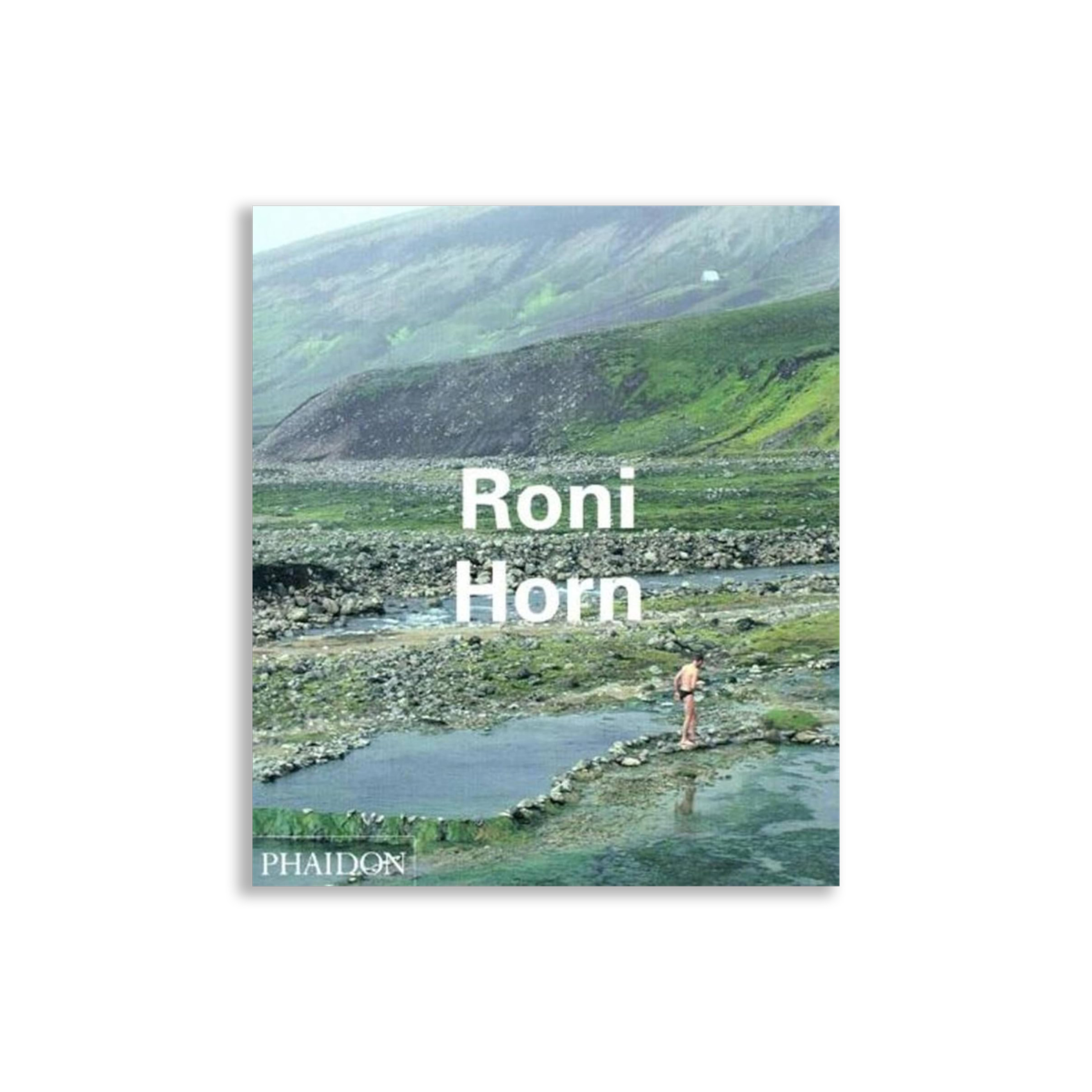 CONTEMPORARY ARTISTS RONI HORN