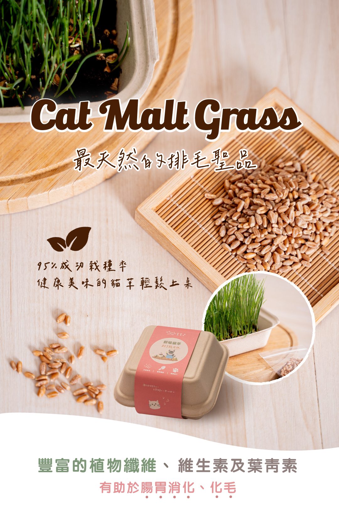 貪貪鮮嗑貓草DIY組