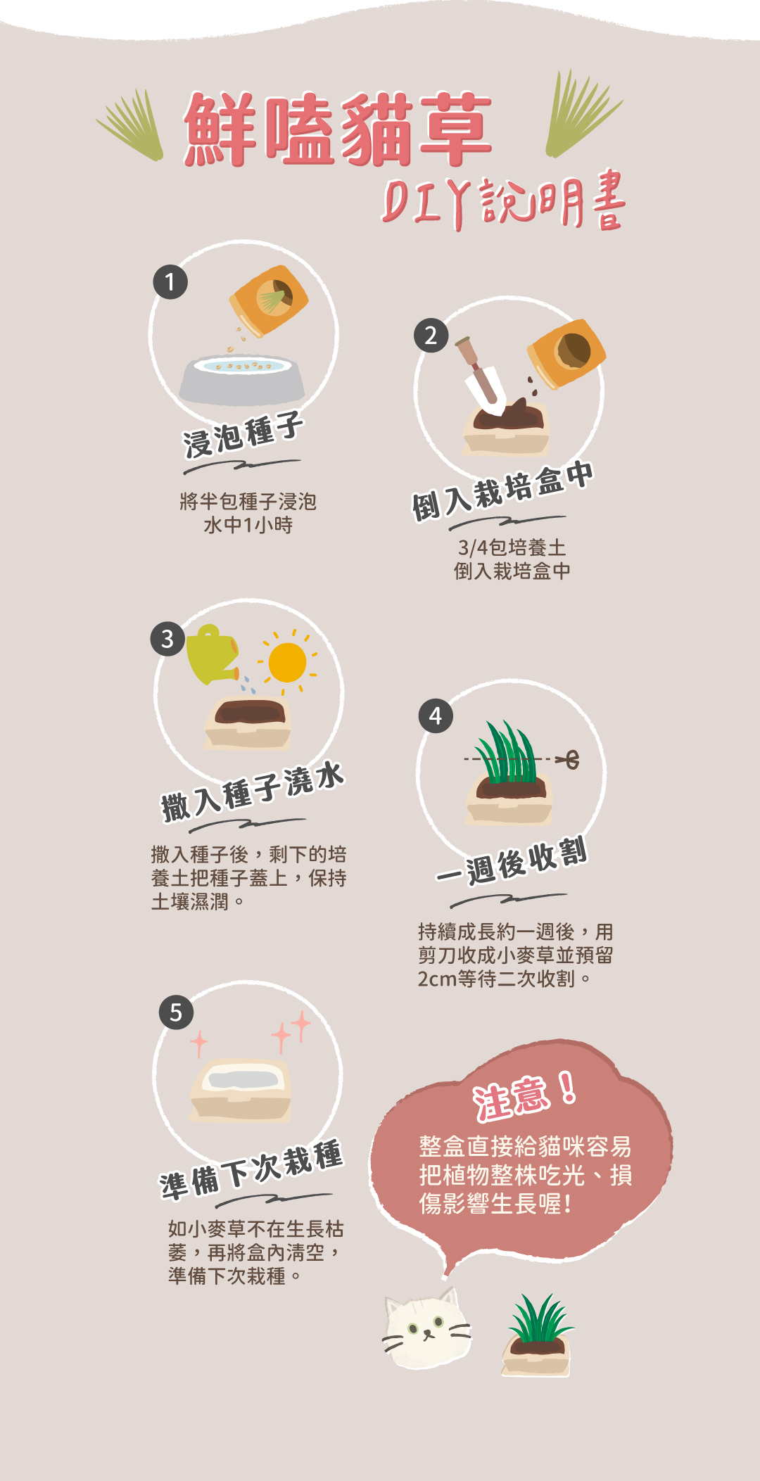 貪貪鮮嗑貓草DIY組
