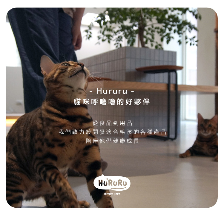 hururu 貓咪呼嚕嚕的好夥伴