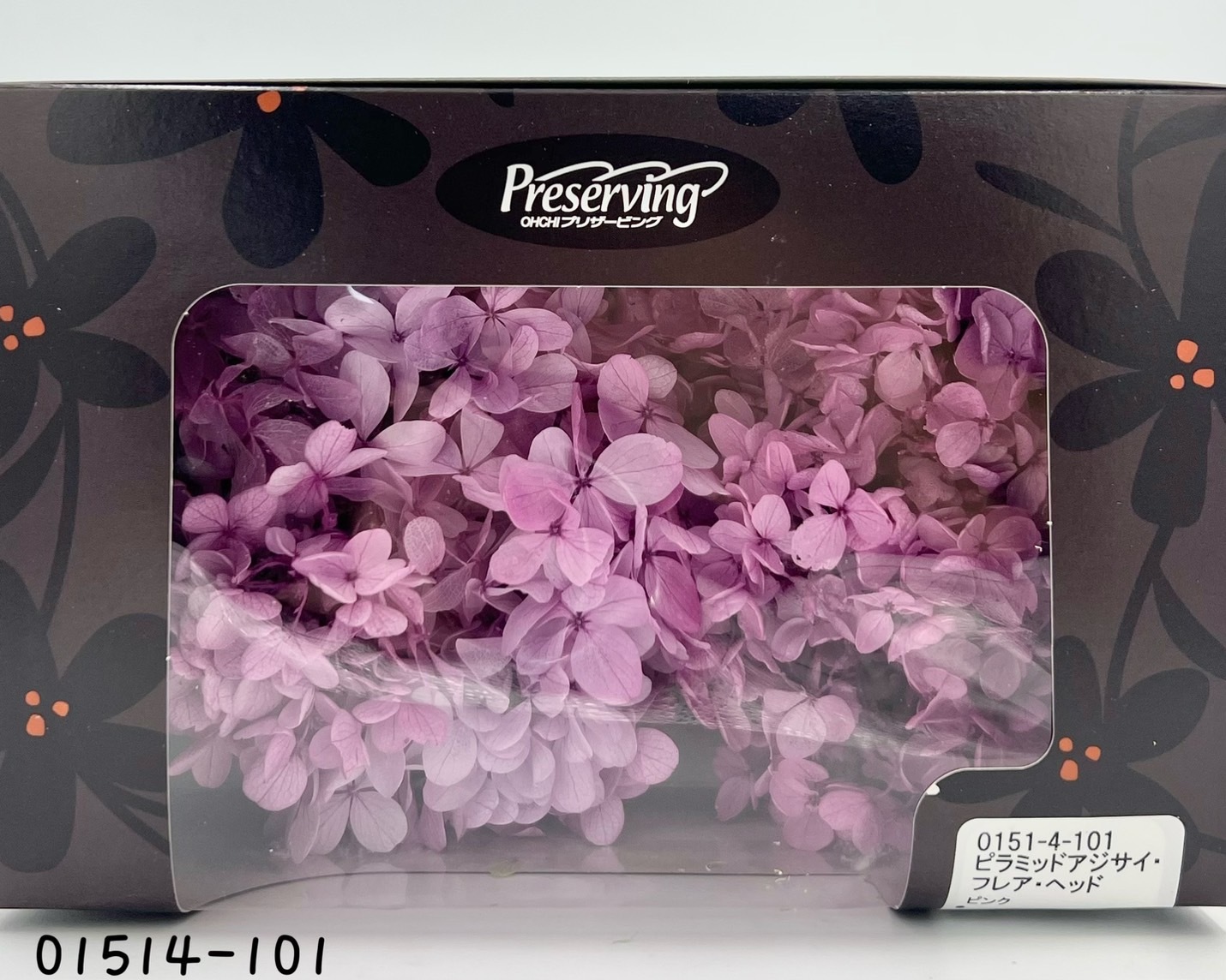 日本不凋中葉漸層繡球 01514-101