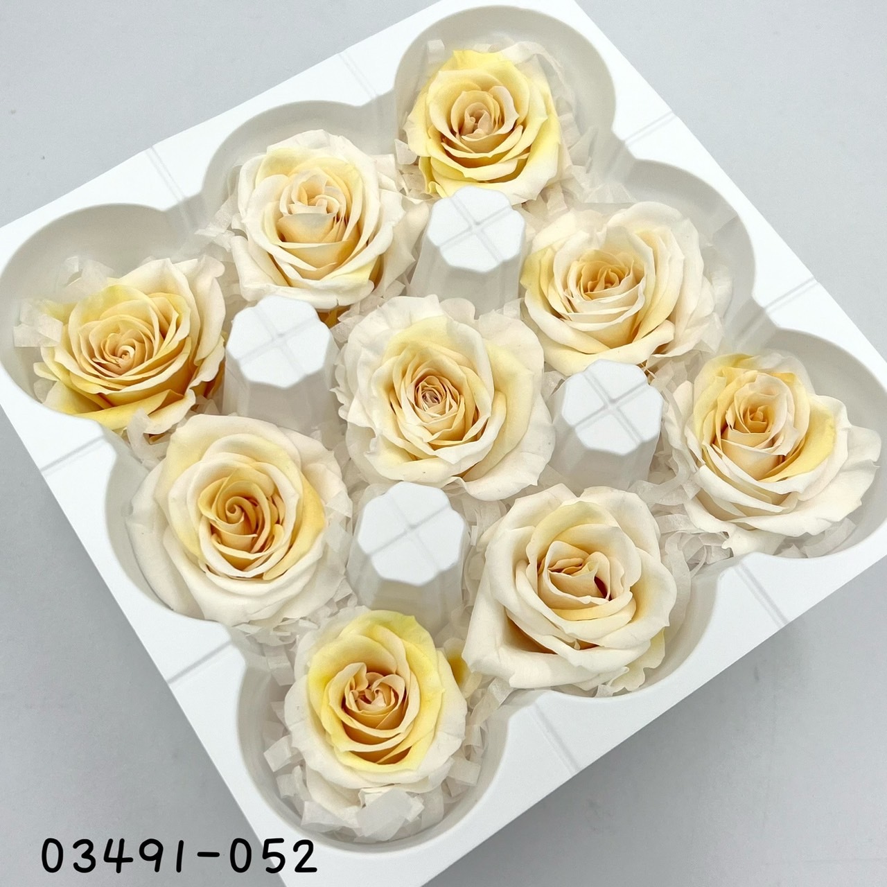 日本不凋中輪漸層玫瑰(9朵) 03491-052