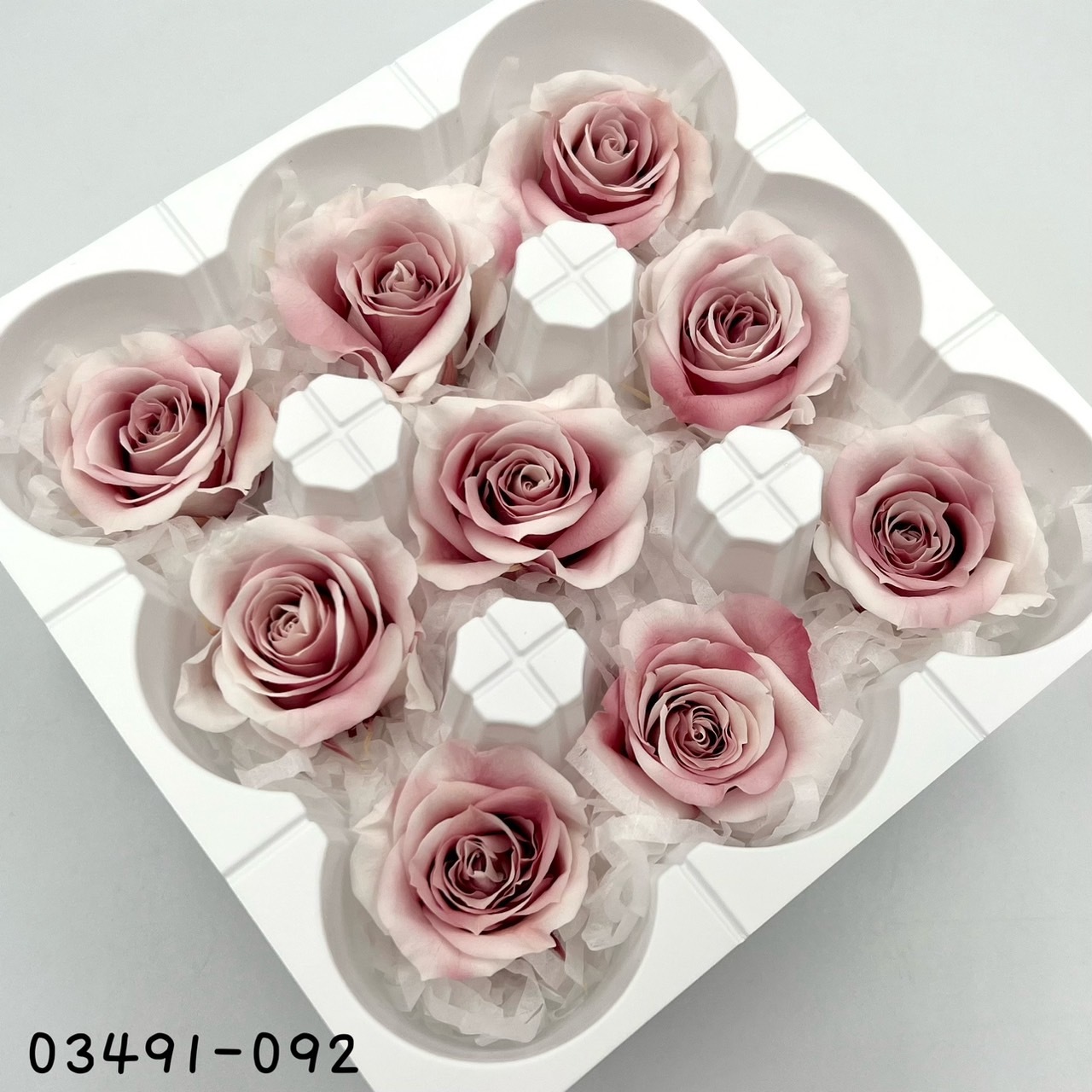 日本不凋中輪漸層玫瑰(9朵) 03491-092