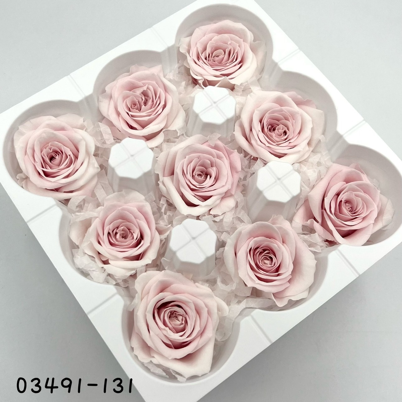 日本不凋中輪漸層玫瑰(9朵) 03491-131