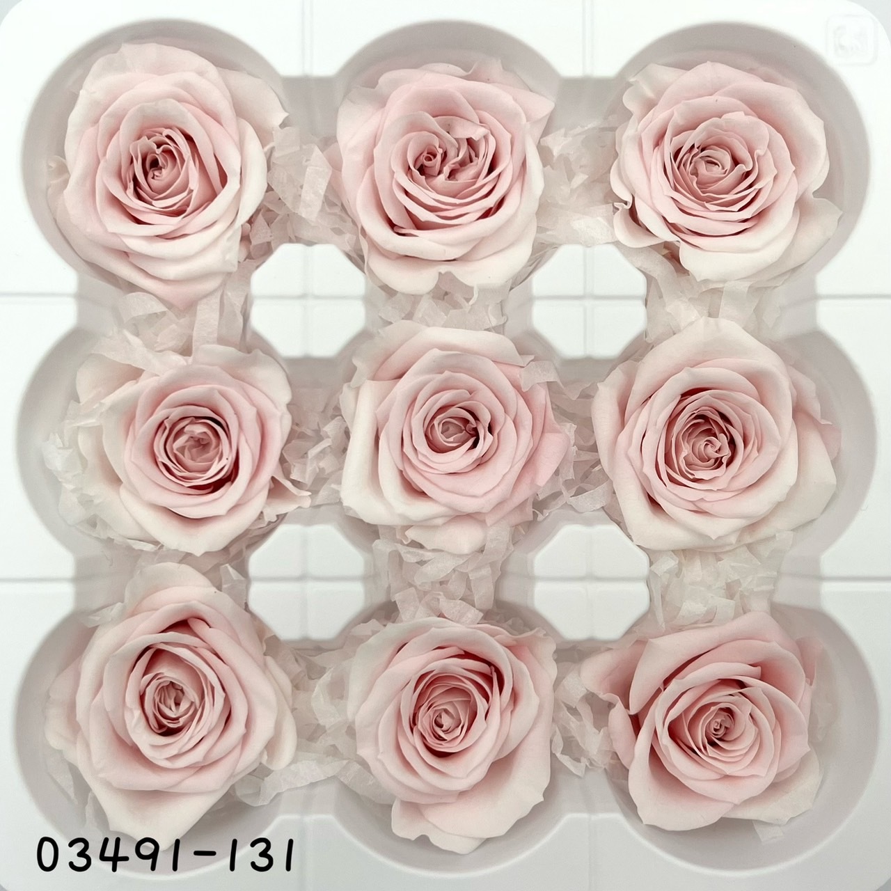 日本不凋中輪漸層玫瑰(9朵) 03491-131