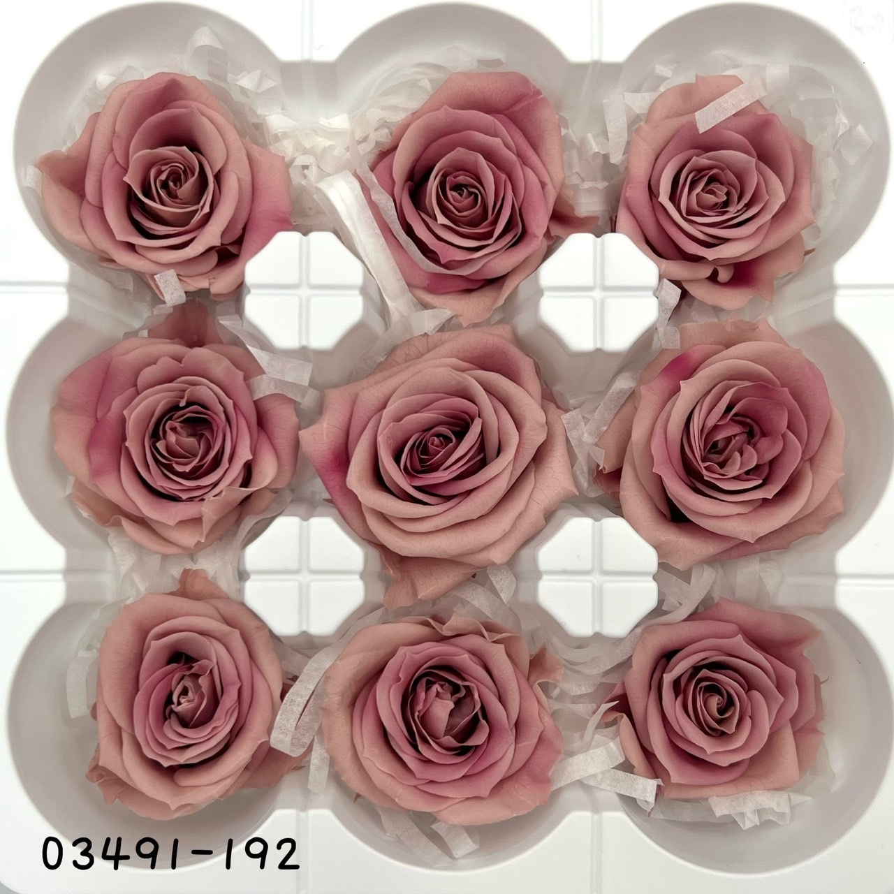 日本不凋中輪漸層玫瑰(9朵) 03491-192