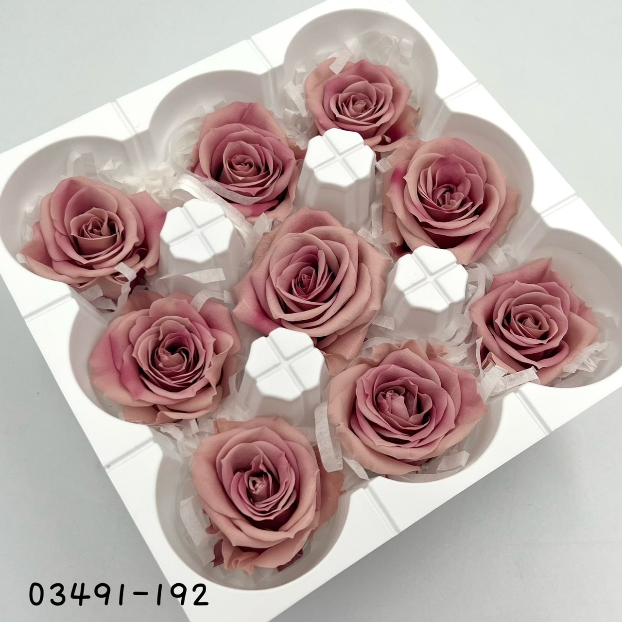 日本不凋中輪漸層玫瑰(9朵) 03491-192