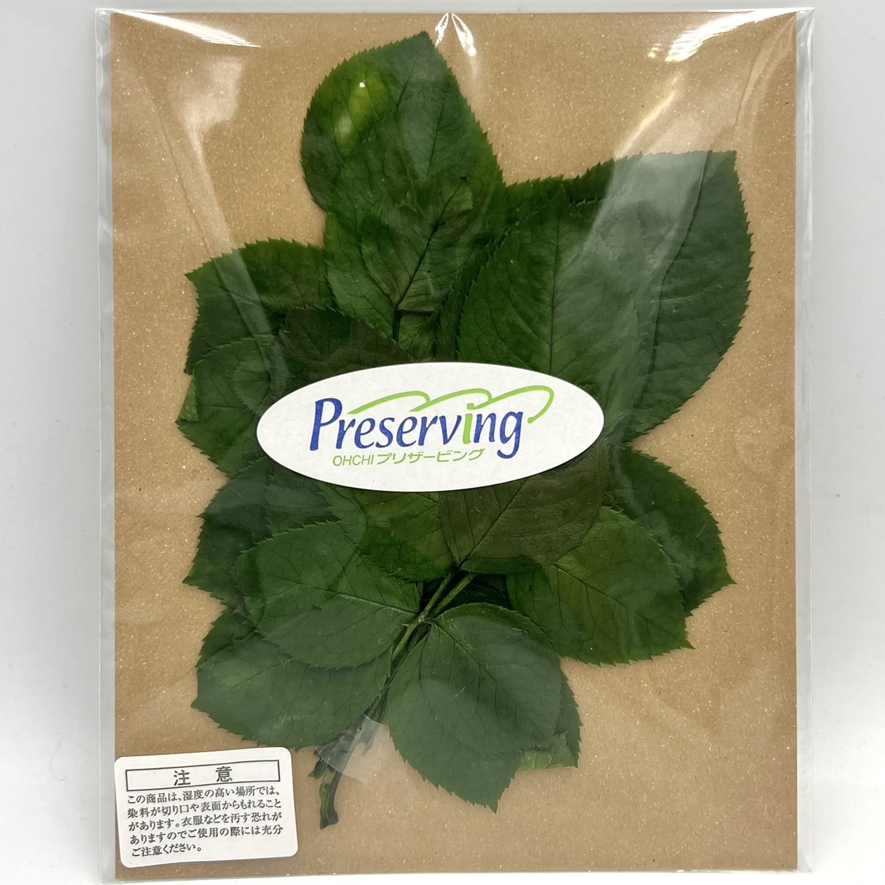 日本不凋玫瑰葉03742-700