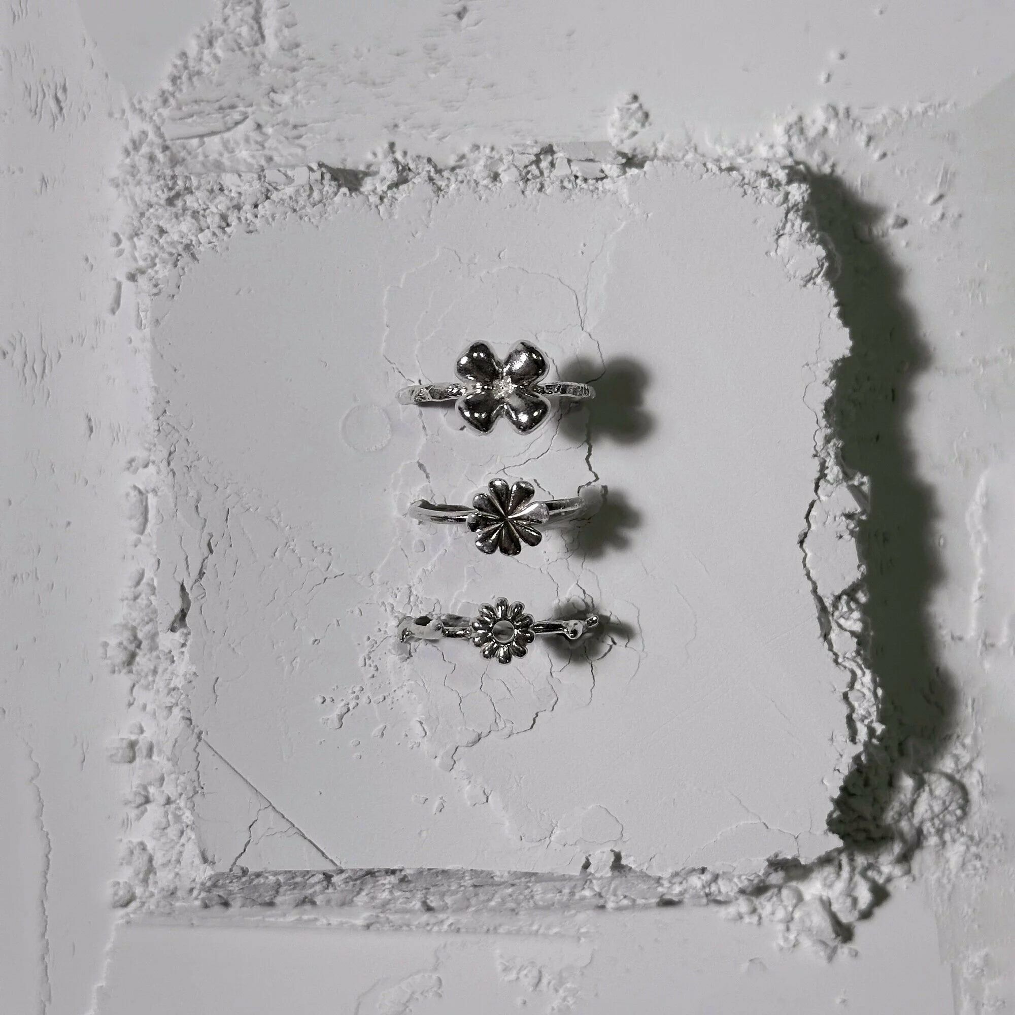 PROJ ORNAMENT 花叢銀戒（秋英）