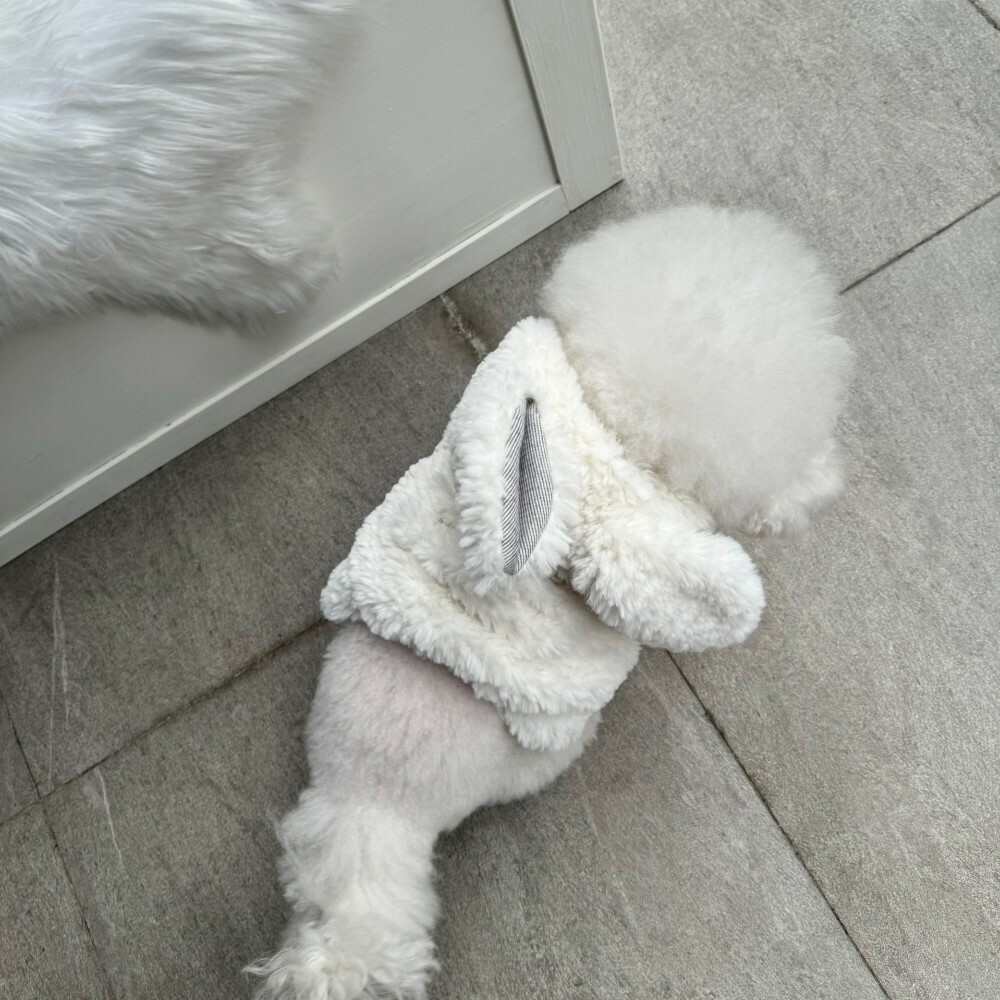 COZY-N 冬日兔兔軟毛大衣