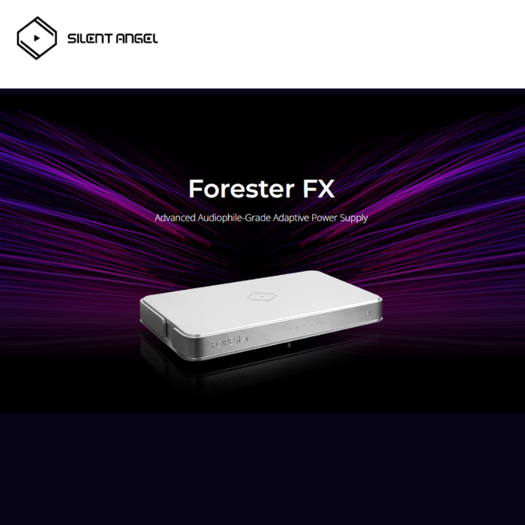 Silent Angel Forester FX 發燒級電源
