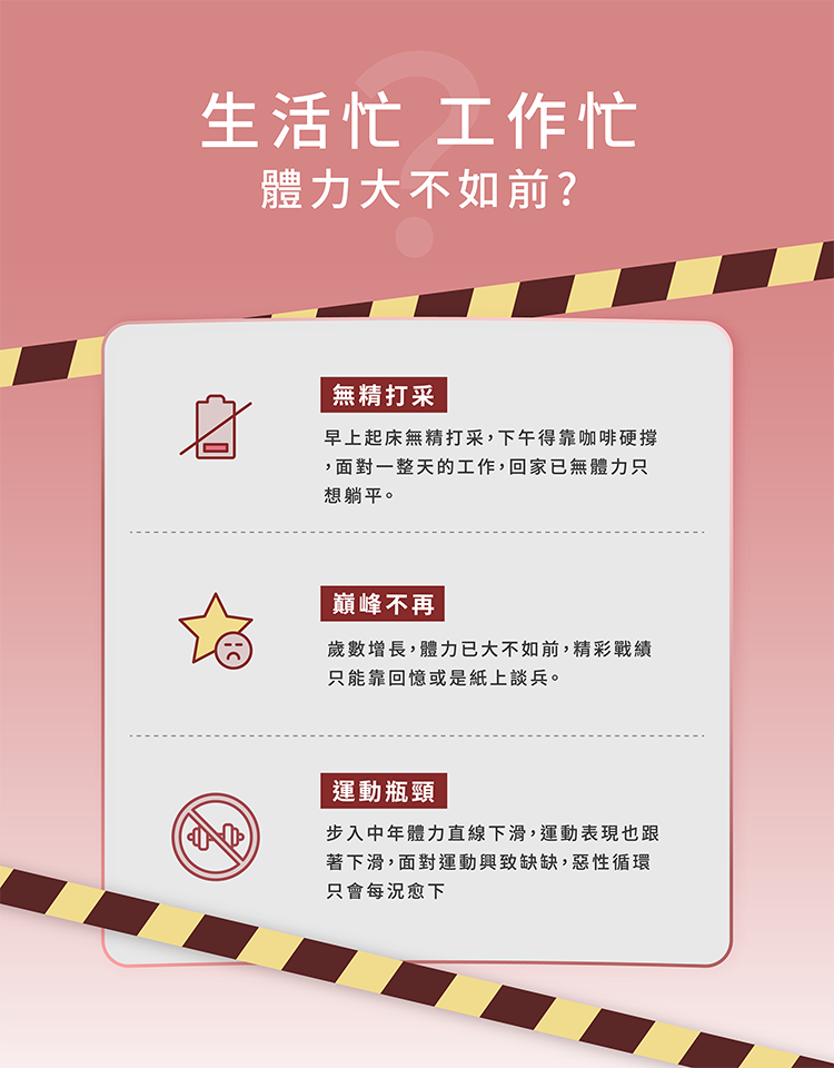 生活忙,工作忙,瑪卡,補充體力,保健食品