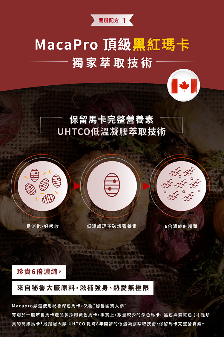黑紅瑪卡,頂級黑紅瑪卡,馬卡體力大師,MacaPro,低溫凝膠萃取,健康