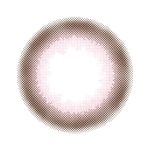 Melotte - Romantic Rose - 1Day - 10Pieces